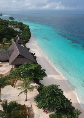 Bougainvilleas on Lombard Street,  San Francisco, Tokyo
