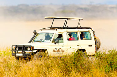Bougainvilleas on Lombard Street,  San Francisco, Tokyo